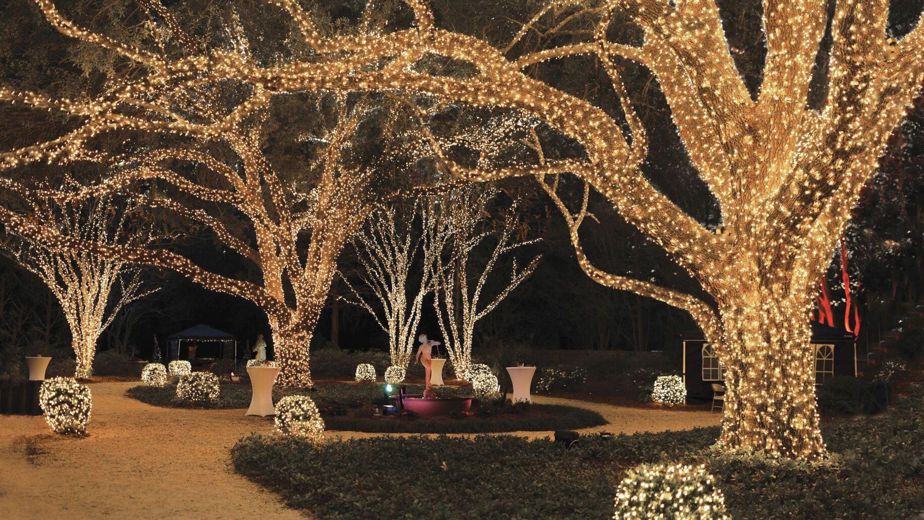 Louisiana Lights transforms Windrush Gardens into a holiday wonderland perfect for the whole family